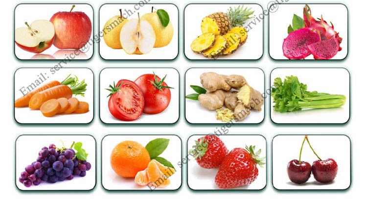 Export good quality fruit crusher and juicer machine to Czech Republic Export good quality fruit crusher and juicer machine to Czech Republic